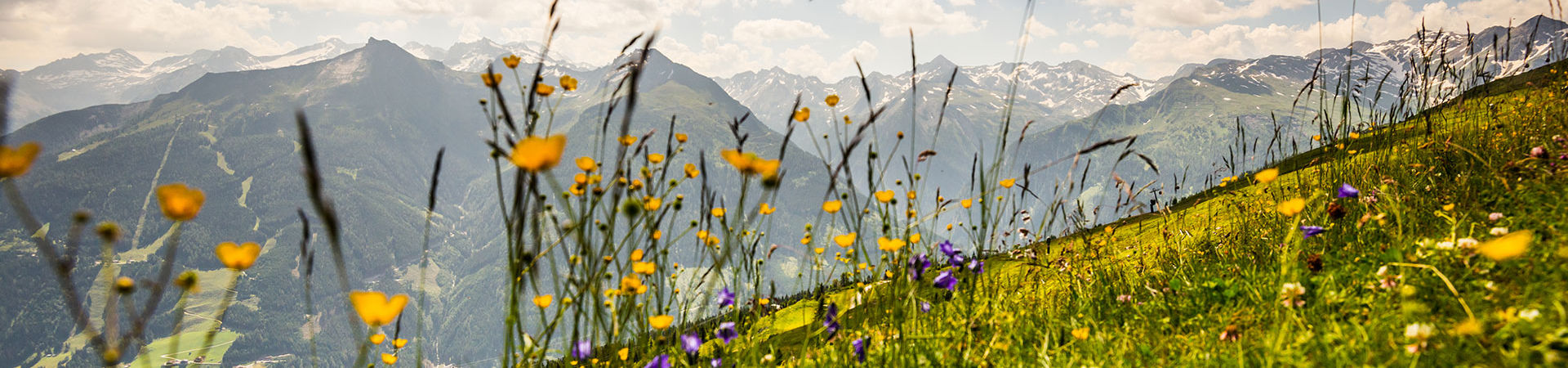 Underbar utsikt över Gastein-bergen