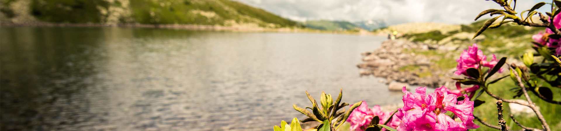Drömliknande landskap en perfekt naturupplevelse